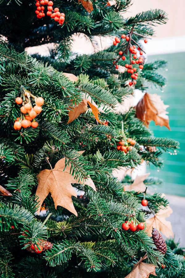 Christmas tree with natural sdecorations