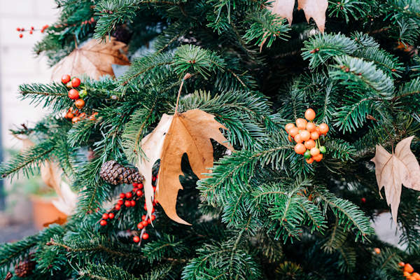 A Christmas tree decorated with natural objects