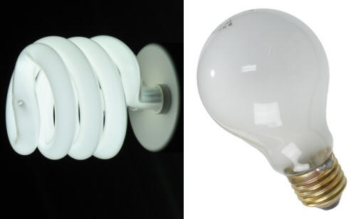 A Lightbulb