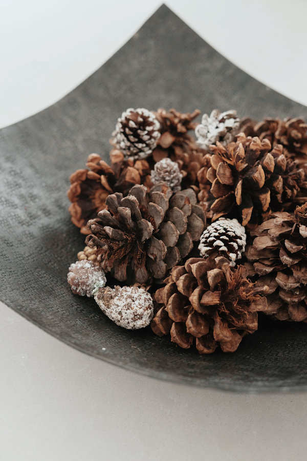 Pinecones on a dish