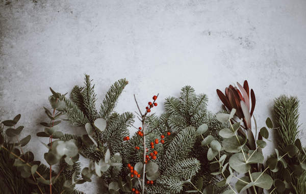 Guide To A Sustainable Eco-Friendly Christmas <?php echo date("Y"); ?>